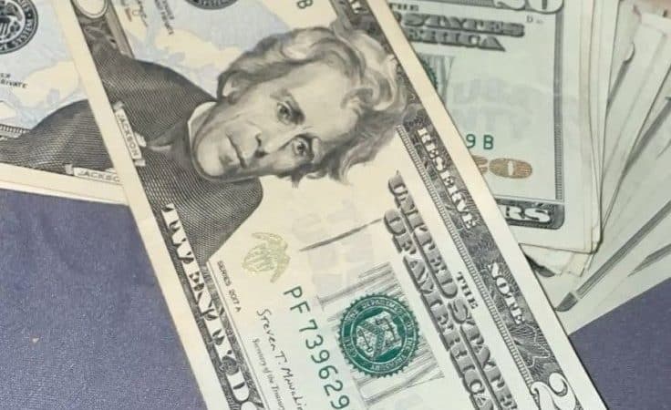 fake 20 dollar bill
